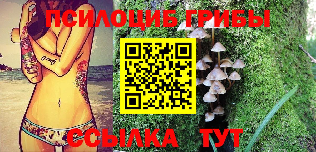 Псилоцибиновые грибы Psilocybine cubensis Реж