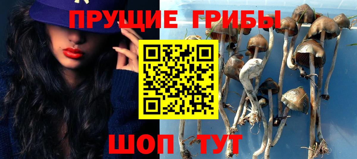 Реж  Псилоцибиновые грибы Psilocybine cubensis  Вход с VPN  Галлюциногенные грибы мицелий 
